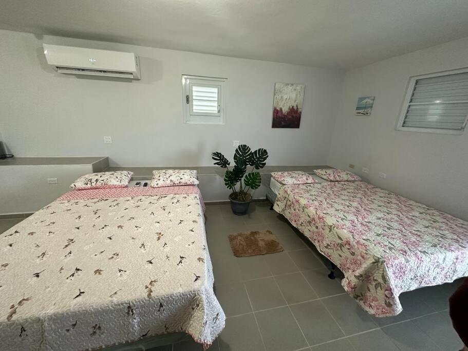 Oceanview 2 Apartment Guayama Exterior photo